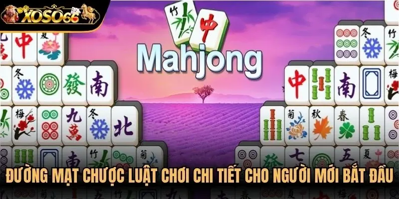 Đường mạt chược luật chơi chi tiết cho người mới bắt đầu