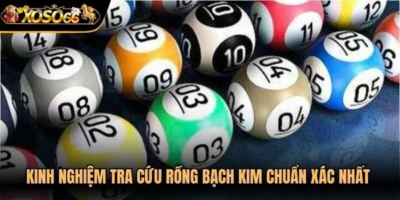 Kinh nghiệm tra cứu Rồng bạch kim chuẩn xác nhất cho các đề thủ