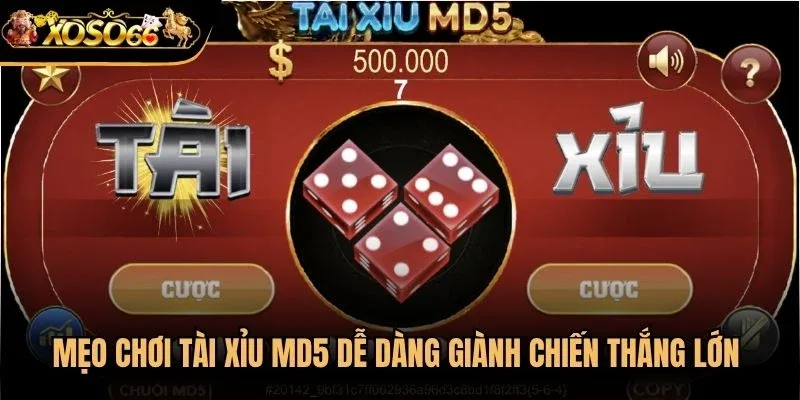 Mẹo chơi tài xỉu md5 dễ dàng giành chiến thắng lớn nên ghi nhớ