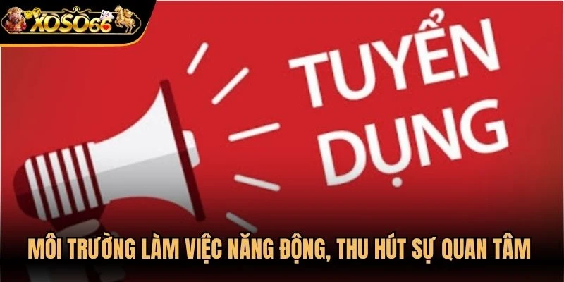 Môi trường làm việc năng động, thu hút sự quan tâm của nhiều ứng viên
